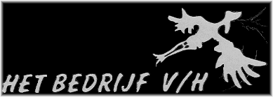 theatergroep het bedrijf-vh